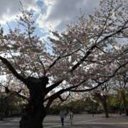 ヒメ日記 2025/04/09 01:05 投稿 まほ プリティーステージ