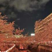 ヒメ日記 2025/04/16 21:48 投稿 まほ プリティーステージ