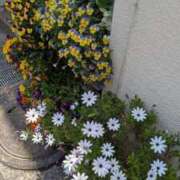 ももこ おはようございます(^^)🩷 人妻小旅行