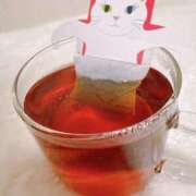 ヒメ日記 2024/12/30 18:49 投稿 しおん ビギナーズ神戸