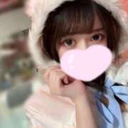 ヒメ日記 2024/12/14 22:54 投稿 こい チューリップ福井本館