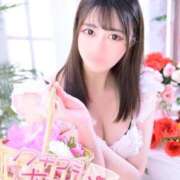 ヒメ日記 2025/02/10 18:17 投稿 こい チューリップ福井本館