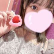 ヒメ日記 2025/02/10 19:28 投稿 こい チューリップ福井別館