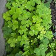 ヒメ日記 2025/05/25 16:50 投稿 あき ごほうびSPA五反田店