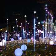 ヒメ日記 2024/12/25 17:44 投稿 明衣（めい） 女々艶 大和店