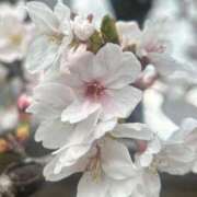 ヒメ日記 2026/04/08 20:42 投稿 明衣（めい） 女々艶 大和店