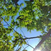 ヒメ日記 2025/04/29 14:07 投稿 智子(ともこ) 人妻出逢い会 百合の園 山の手本店