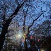 ヒメ日記 2025/04/05 19:16 投稿 あずみ ぽっちゃりデリヘル倶楽部