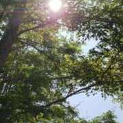 ヒメ日記 2025/06/26 06:27 投稿 じゅな Mrs Sirena（ミセスシレナ）