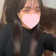 ヒメ日記 2024/12/17 13:16 投稿 コナツ エピソード(品川)