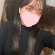 ヒメ日記 2024/12/17 15:31 投稿 コナツ エピソード(品川)