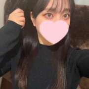 ヒメ日記 2024/12/17 15:46 投稿 コナツ エピソード(品川)