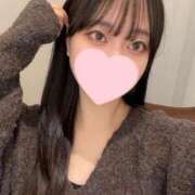 ヒメ日記 2025/02/04 15:31 投稿 コナツ エピソード(品川)