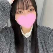 ヒメ日記 2025/02/04 21:16 投稿 コナツ エピソード(品川)