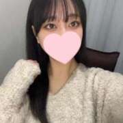 ヒメ日記 2025/02/08 12:31 投稿 コナツ エピソード(品川)