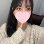 ヒメ日記 2025/02/08 14:31 投稿 コナツ エピソード(品川)