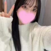 ヒメ日記 2025/02/08 17:16 投稿 コナツ エピソード(品川)