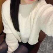 ヒメ日記 2025/02/08 21:16 投稿 コナツ エピソード(品川)