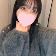 ヒメ日記 2025/02/16 13:31 投稿 コナツ エピソード(品川)