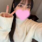 ヒメ日記 2025/02/16 17:31 投稿 コナツ エピソード(品川)