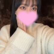 ヒメ日記 2025/02/16 20:31 投稿 コナツ エピソード(品川)