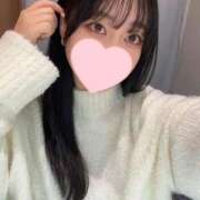 ヒメ日記 2025/02/17 14:31 投稿 コナツ エピソード(品川)