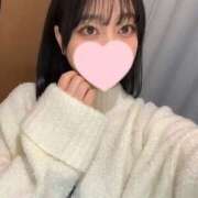 ヒメ日記 2025/02/17 15:16 投稿 コナツ エピソード(品川)