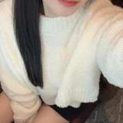 ヒメ日記 2025/02/17 16:01 投稿 コナツ エピソード(品川)