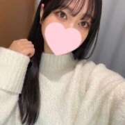 ヒメ日記 2025/02/17 18:31 投稿 コナツ エピソード(品川)