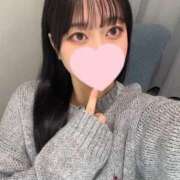 ヒメ日記 2025/02/18 13:16 投稿 コナツ エピソード(品川)