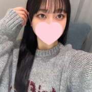 ヒメ日記 2025/02/18 14:16 投稿 コナツ エピソード(品川)