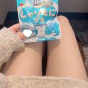 ヒメ日記 2025/02/18 16:01 投稿 コナツ エピソード(品川)