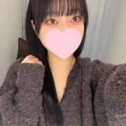 ヒメ日記 2025/03/02 18:31 投稿 コナツ エピソード(品川)