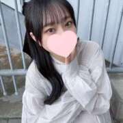 ヒメ日記 2025/03/05 12:31 投稿 コナツ エピソード(品川)