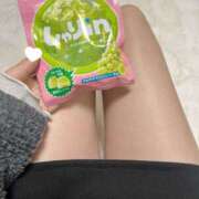 ヒメ日記 2025/03/06 17:31 投稿 コナツ エピソード(品川)