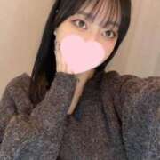 ヒメ日記 2025/03/07 15:16 投稿 コナツ エピソード(品川)