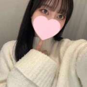 ヒメ日記 2025/04/03 21:16 投稿 コナツ エピソード(品川)