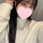 ヒメ日記 2025/04/03 21:46 投稿 コナツ エピソード(品川)