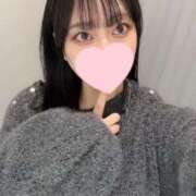 ヒメ日記 2025/04/04 14:16 投稿 コナツ エピソード(品川)