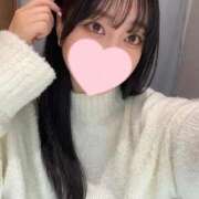 ヒメ日記 2025/04/05 12:46 投稿 コナツ エピソード(品川)