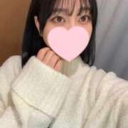 ヒメ日記 2025/04/05 14:31 投稿 コナツ エピソード(品川)