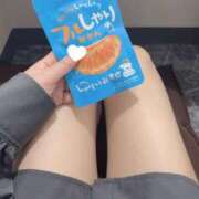 ヒメ日記 2025/04/12 23:01 投稿 コナツ エピソード(品川)