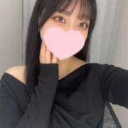 ヒメ日記 2025/04/16 22:16 投稿 コナツ エピソード(品川)