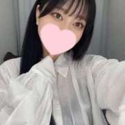 ヒメ日記 2025/04/17 21:16 投稿 コナツ エピソード(品川)