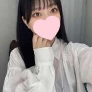 ヒメ日記 2025/04/29 20:46 投稿 コナツ エピソード(品川)