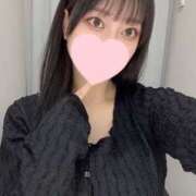 ヒメ日記 2025/04/30 20:46 投稿 コナツ エピソード(品川)