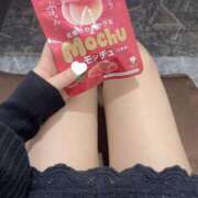 ヒメ日記 2025/04/30 22:16 投稿 コナツ エピソード(品川)