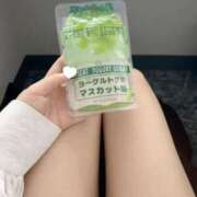 ヒメ日記 2025/05/02 22:46 投稿 コナツ エピソード(品川)