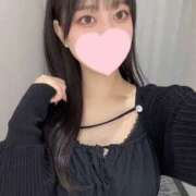 ヒメ日記 2025/05/13 17:46 投稿 コナツ エピソード(品川)