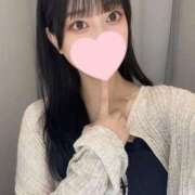 ヒメ日記 2025/05/24 13:46 投稿 コナツ エピソード(品川)